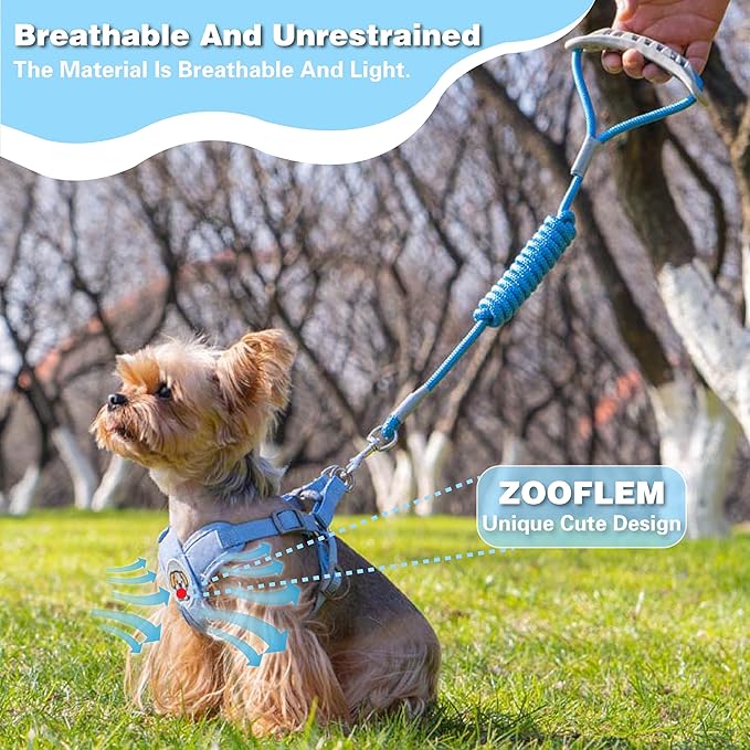 Dog Harness with Leash Set, Puppy Soft Vest No Choke No Pull, Adjustable Neck and Chest, Lightweight Harness and Anti-Twist Pet Leash Combo for Small to Medium Dogs (Blue, M-Medium)