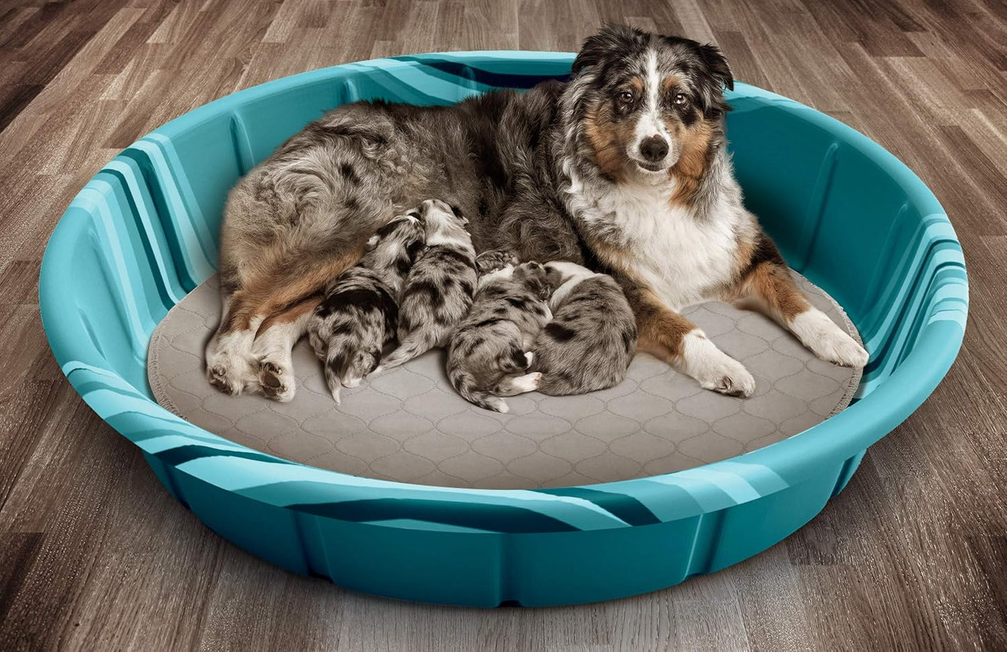 Pet Parents® Pawtect® Pads Washable Pee Pads for Dogs (2pack) of Premium Dog Pee Pads, Waterproof Puppy Pads & Reusable Dog Pads, Whelping Pads & Modern Pee Pads for Dogs (Tan/Grey, 48" Round)