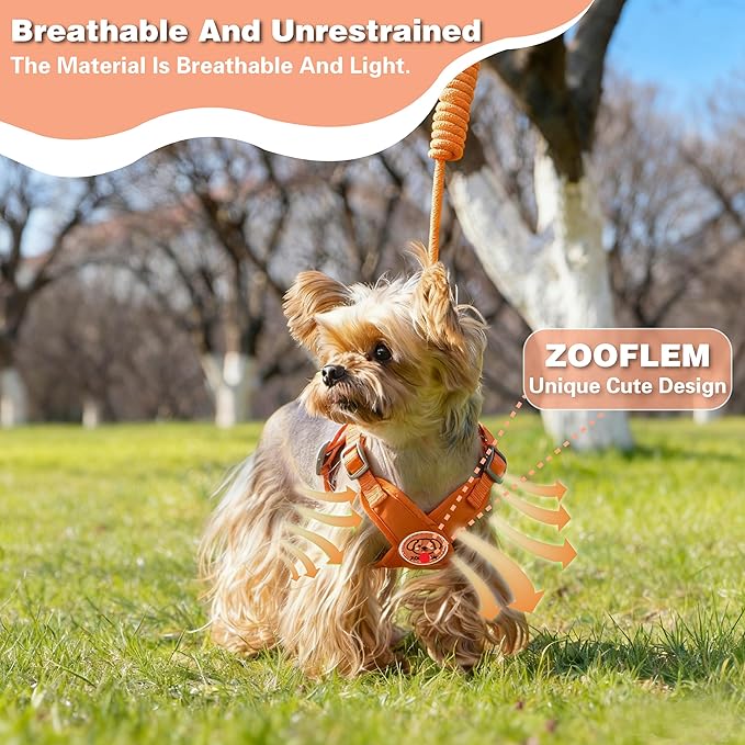 Dog Harness with Leash Set, Puppy Soft Vest No Choke No Pull, Adjustable Neck and Chest, Lightweight Harness and Anti-Twist Pet Leash Combo for Small to Medium Dogs (Orange, L-Large)