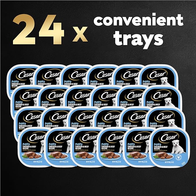 Cesar Puppy Wet Dog Food Classic Loaf in Sauce Chicken & Beef Recipe, 3.5 oz. Easy Peel Trays (24 Count, Pack of 1)