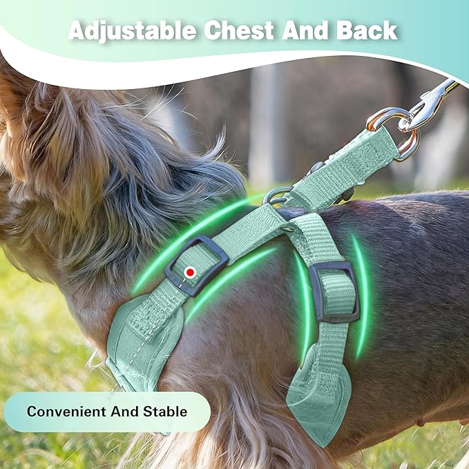 Dog Harness with Leash Set, Puppy Soft Vest No Choke No Pull, Adjustable Neck and Chest, Lightweight Harness and Anti-Twist Pet Leash Combo for Small to Medium Dogs (Green, S-Small)