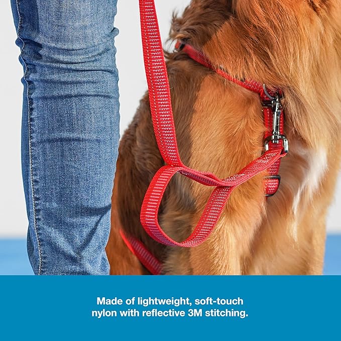 Blue-9 Reflective Dog Leash, Multi-Function 6 Foot Adjustable Lead with Traffic Loop and 3M Reflective Stitching for Obedience, Running, and Agility Training, Made in The USA, Small/Medium, Red