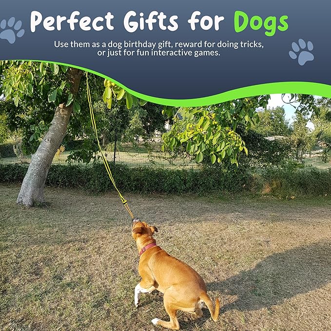 Tree Rope Toy for Dogs - Bungee Tug Toy for Small to Large Breeds - Outside Entertainment and Exercise Hanging Dog Toys Tug of War with Chew Rope and Ball Set (Reflective)